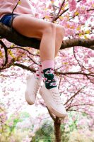 Socken Many Mornings Cherry Blossom