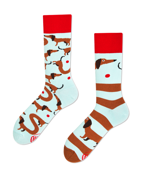 Many Mornings – Lustige Socken Mit Dackel-Motiv, Damen Größe 39-42, Bunt, Weich & Waschmaschinenfest