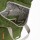 Rucksack Roka Canfield Sustain Small Avocado