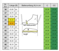 Schuhe Rollschuh Wifa Street Deluxe Honiggelb  41