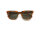 Sonnenbrille Komono Bobby Amber Shell